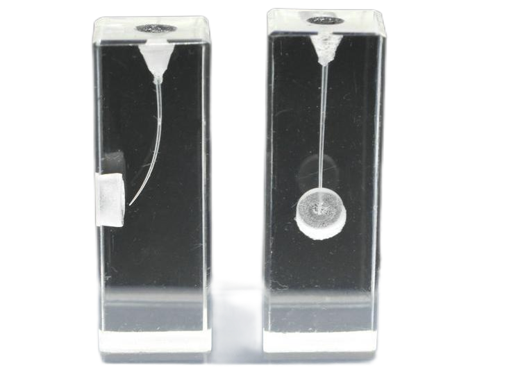 Endo Training Bloc 